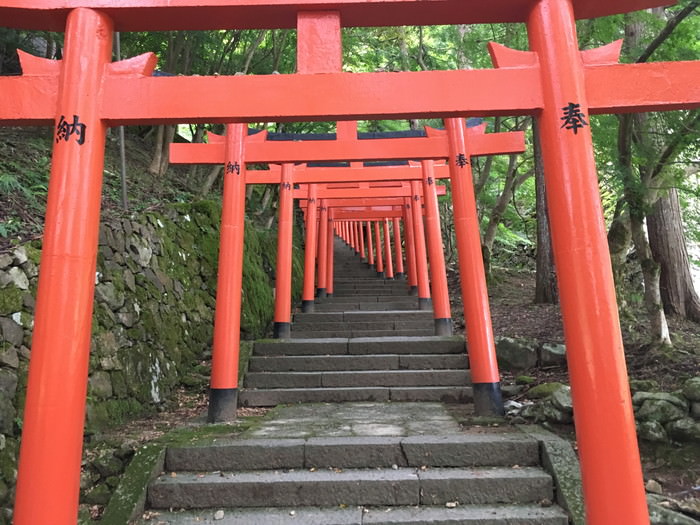 oΏɂ钹