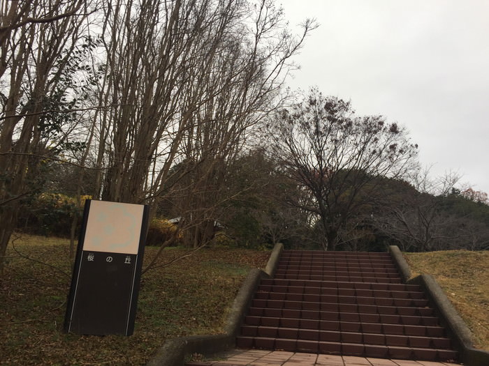 痢ɂ鐮ꂽKi