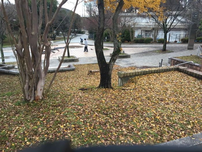 痢ɂ̖